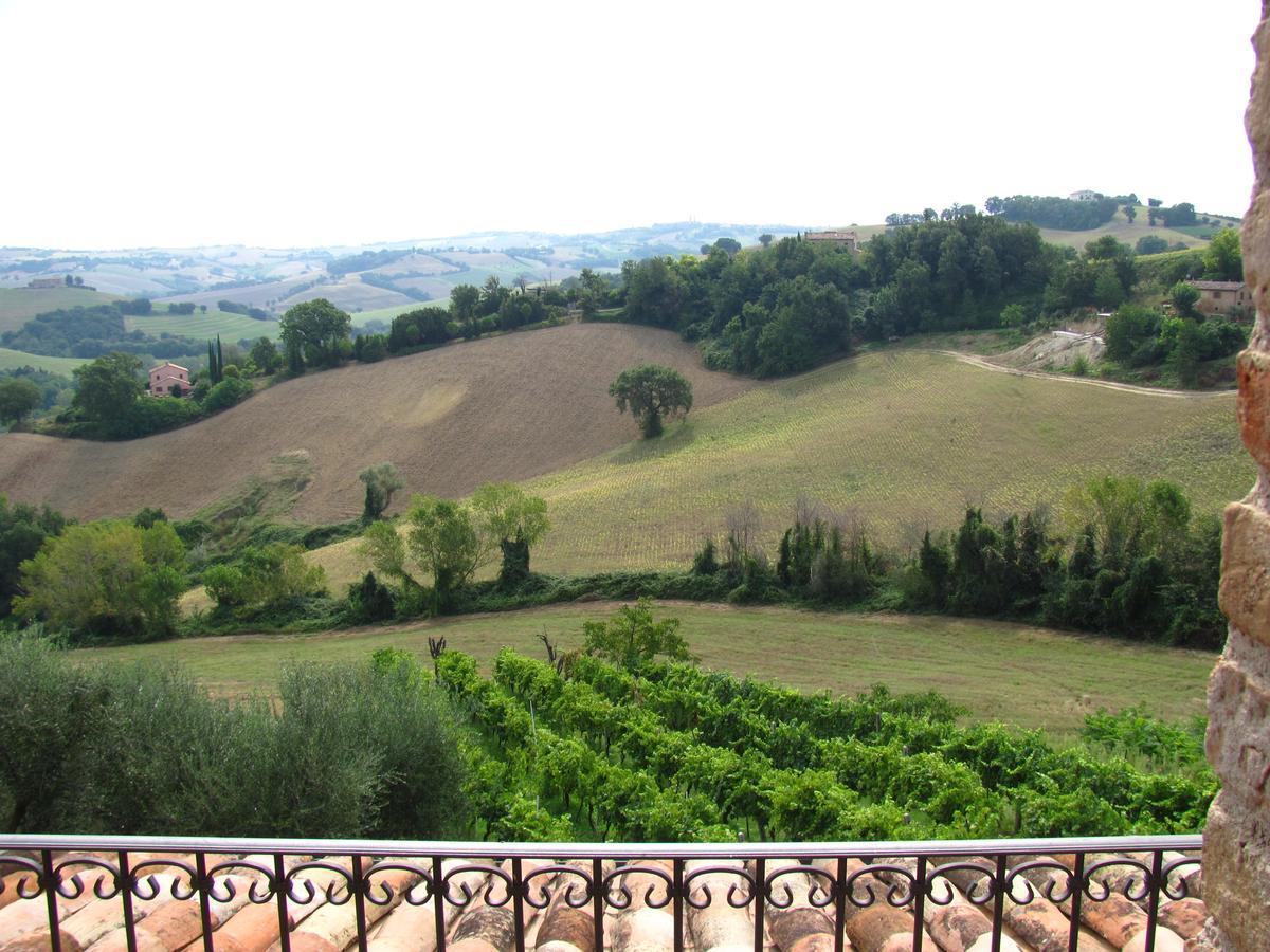 Agriturismo Bacchiocchi Bed & Breakfast Orciano di Pesaro Екстериор снимка